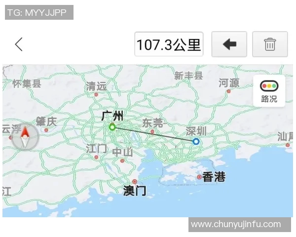 深圳篮球队与上海篮球队赛后复盘分析团队协作的关键因素与表现